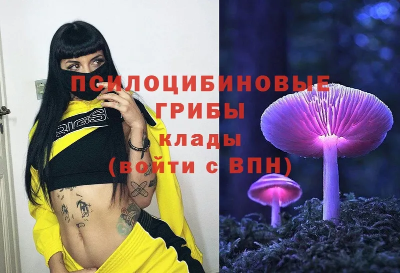 Галлюциногенные грибы MAGIC MUSHROOMS  ОМГ ОМГ как войти  Каргополь 