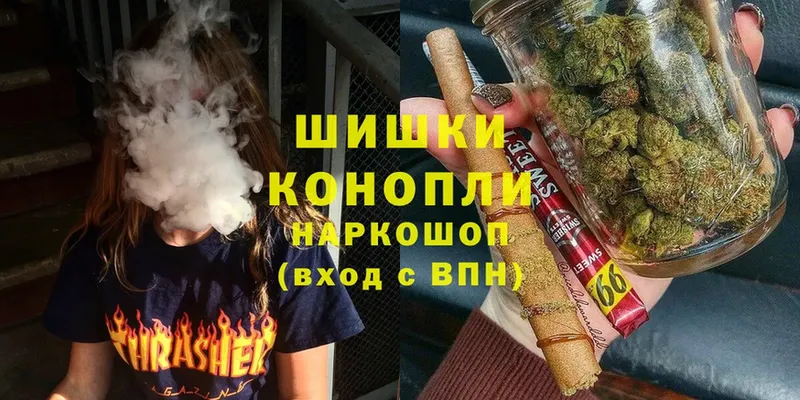 Конопля сатива  где можно купить   Каргополь 